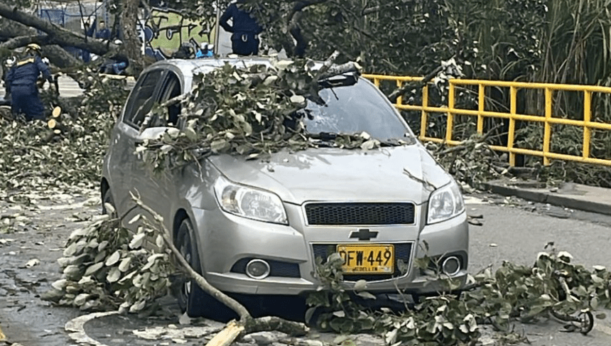 Otros dos árboles cayeron sobre vehículos en Medellín y Copacabana