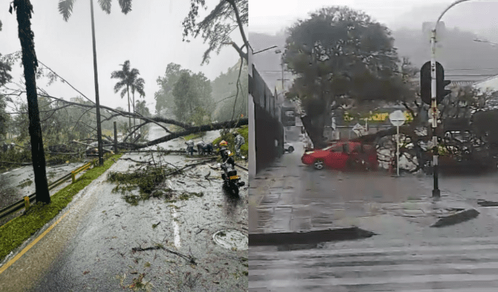 Por fuerte aguacero en Medellín hay caída de árboles e inundaciones