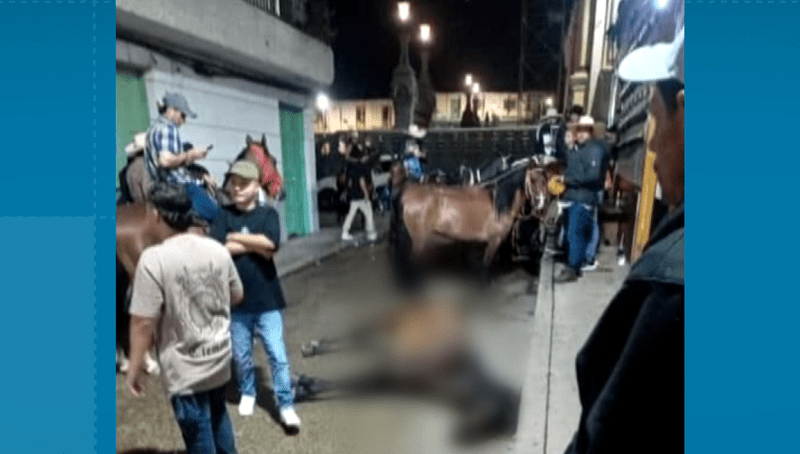 Indignación por muerte de un caballo en una cabalgata en Santo Domingo