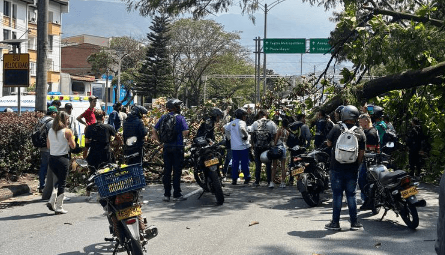 Fallece uno de los heridos por la caída de un árbol en la avenida 33