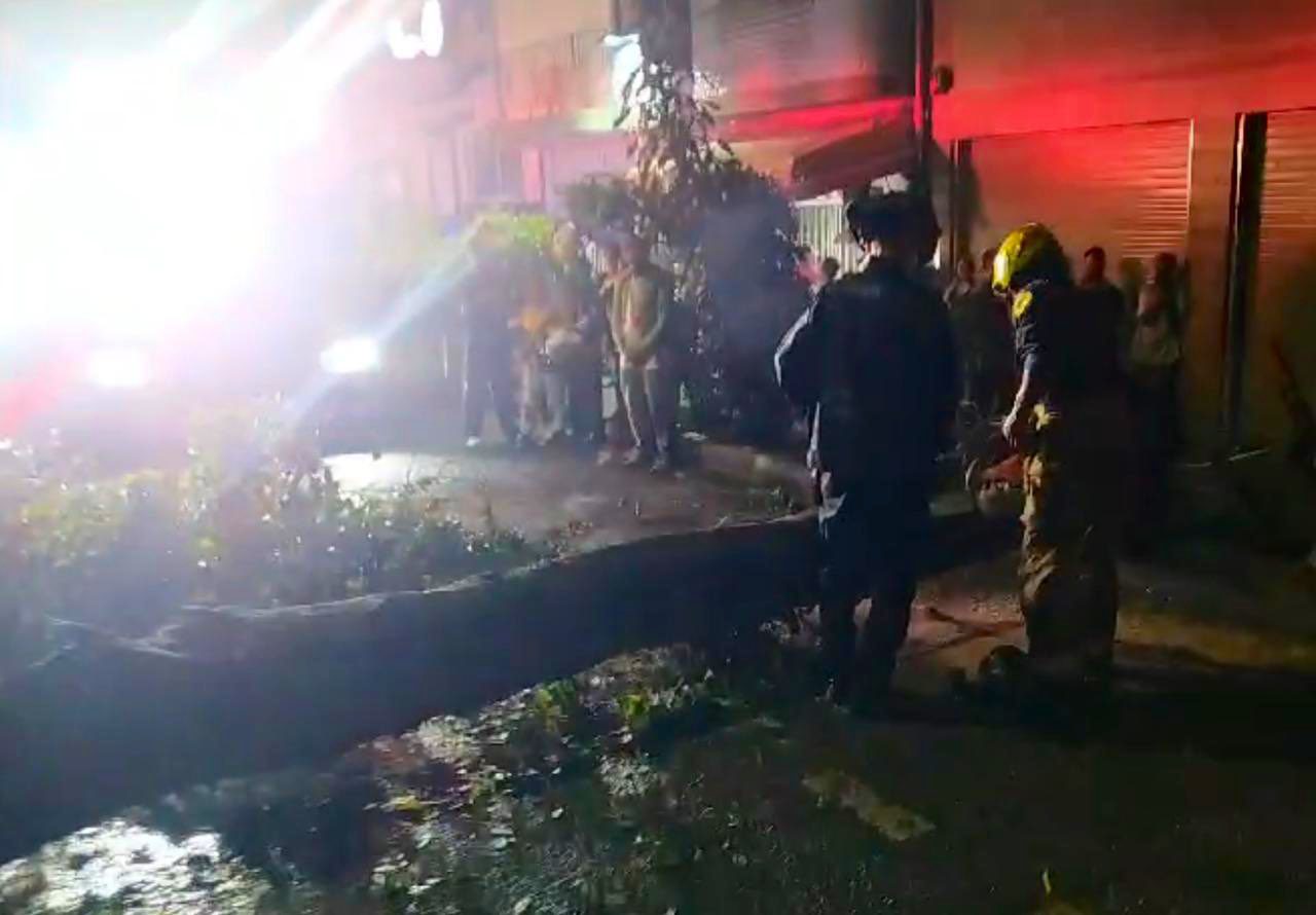 Desplome de otro árbol en Medellín dejó dos policías heridos, uno está en UCI