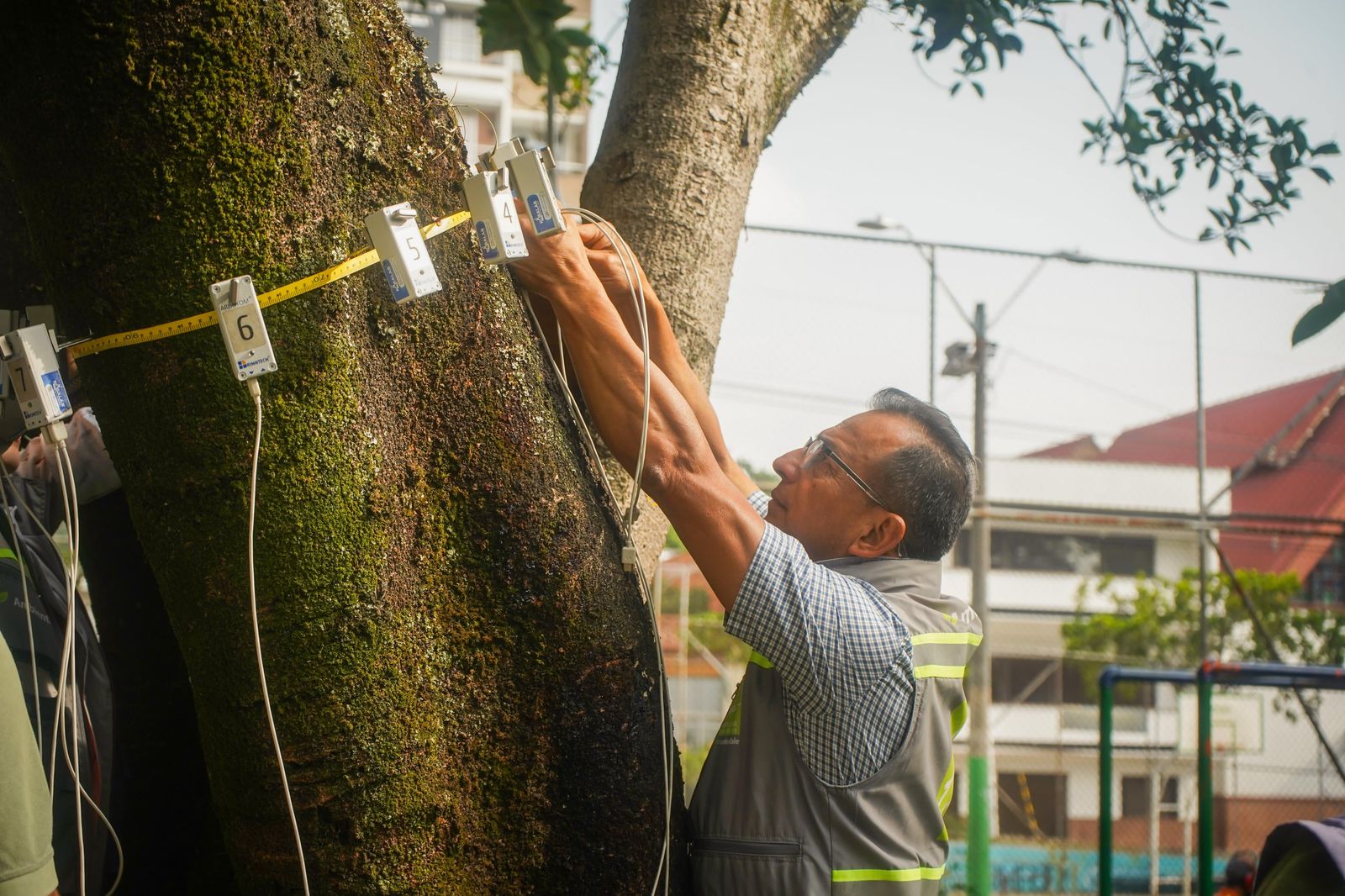 Este es el plan de acción para los árboles de Medellín