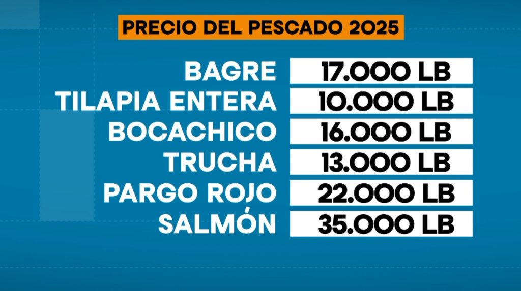 Precio del pescado aumentó en Medellín por temporada de Cuaresma