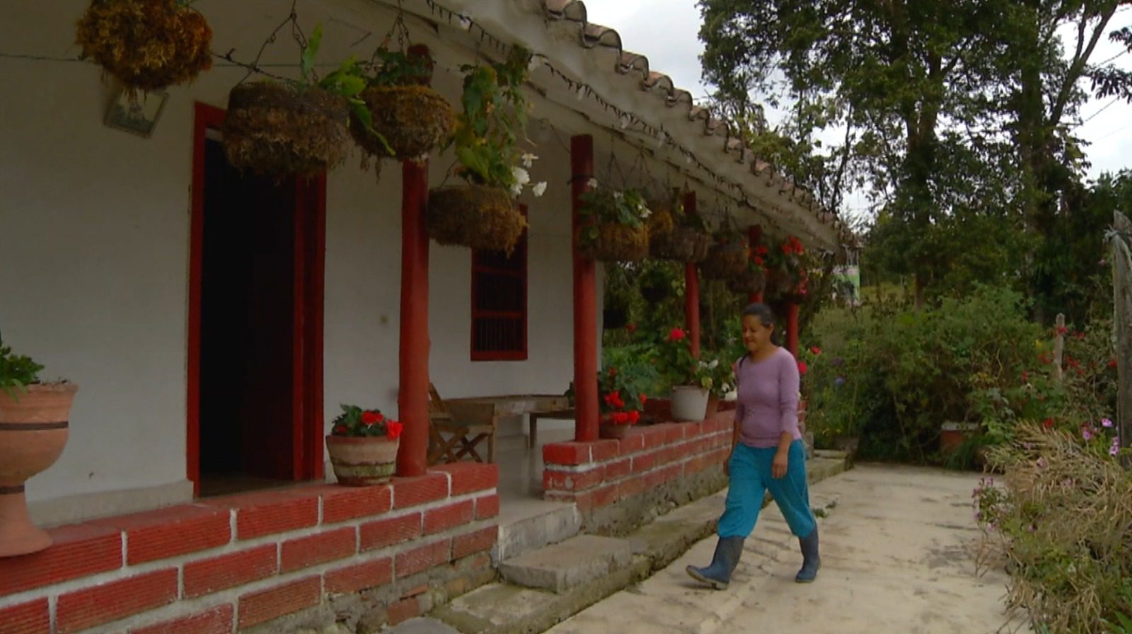 “Familias en su Tierra”, el programa que acompaña a desplazados por el conflicto