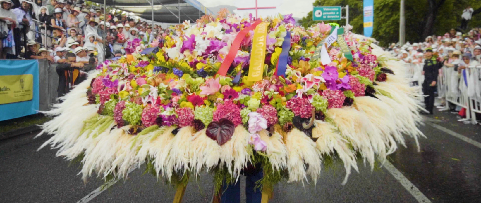 Producción del Desfile de Silleteros está prenominada a los India Catalina  