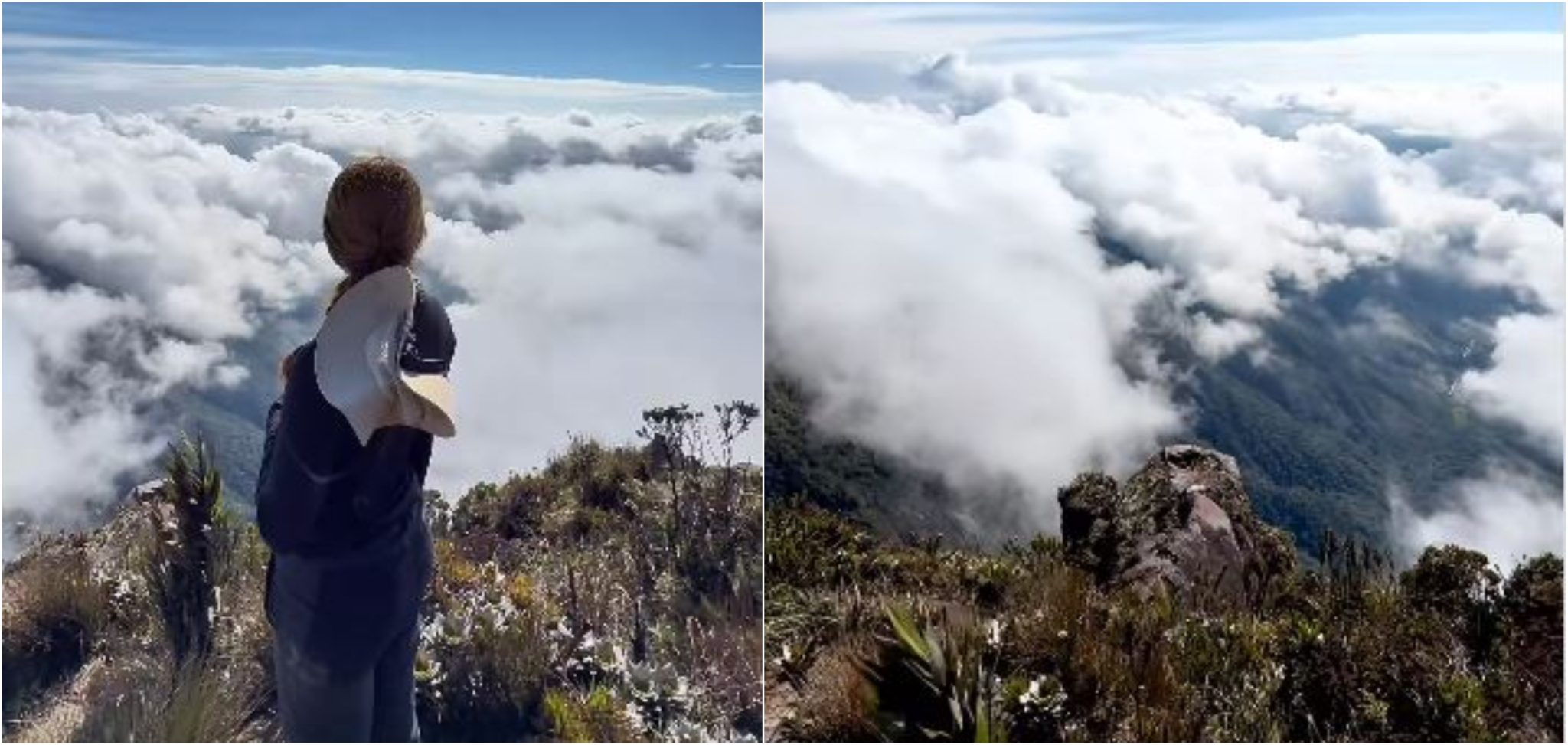 ¿Ya lo conoce? Esta es la cima de un páramo de Antioquia donde parece estar en el cielo