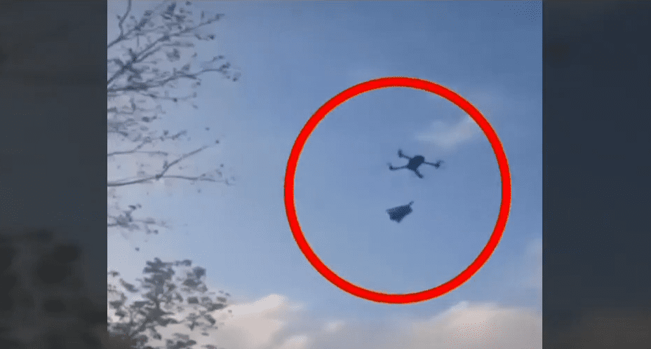 ¡Indignante! Amarraron un perrito a un dron y lo elevaron tres metros