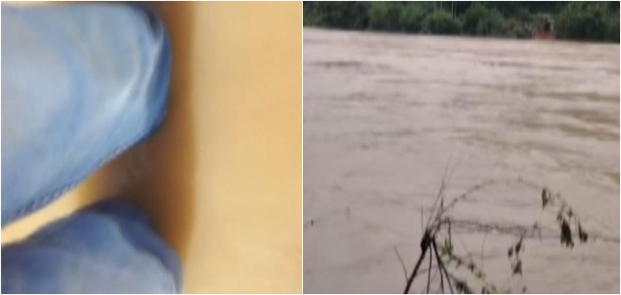 Aumento del caudal del río Cauca causan inundaciones y pérdidas de cultivos