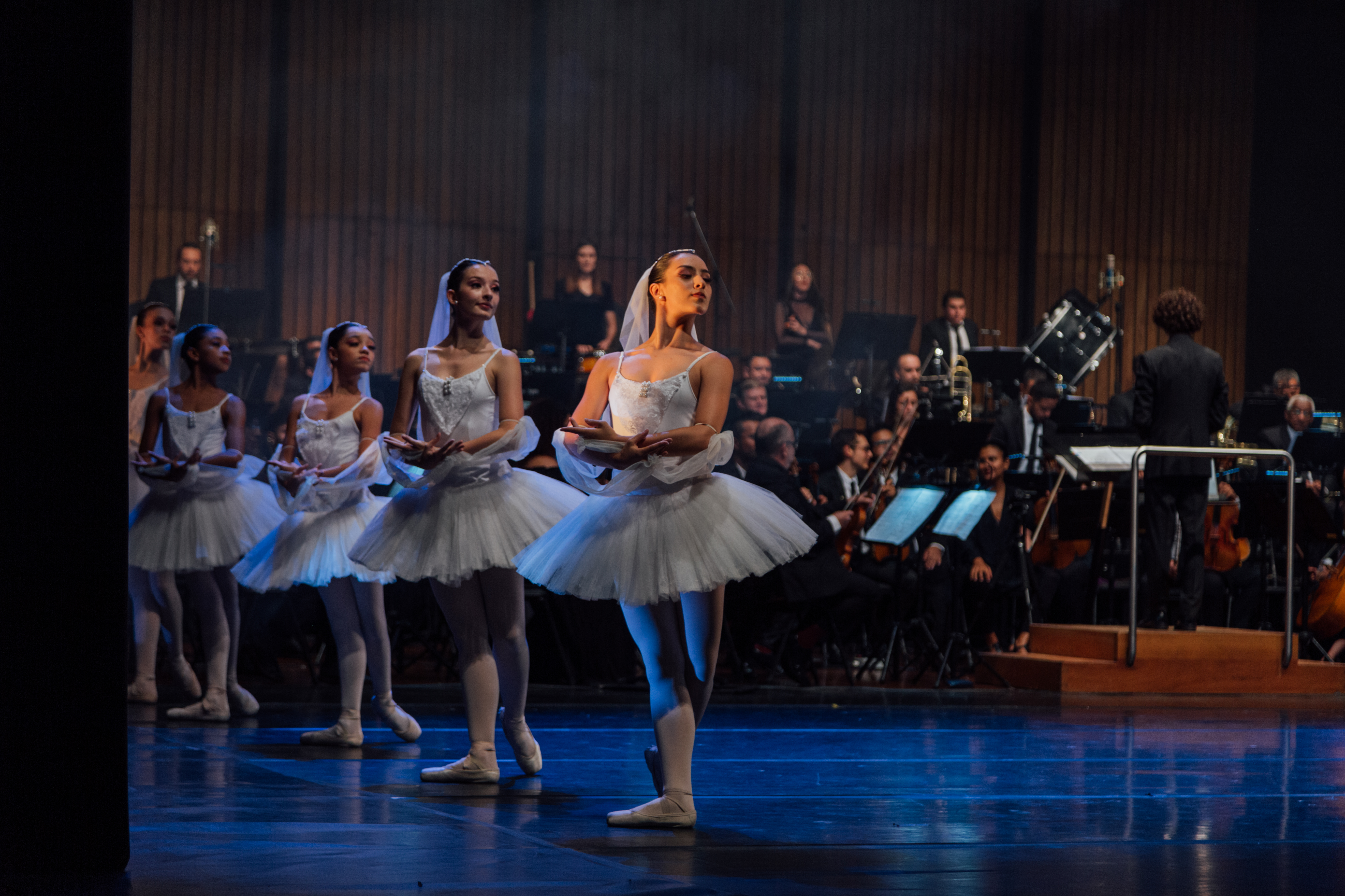 El Lago de los Cisnes tendrá dos funciones en Medellín como homenaje a Tchaikovsky