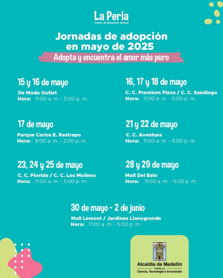 adopcion