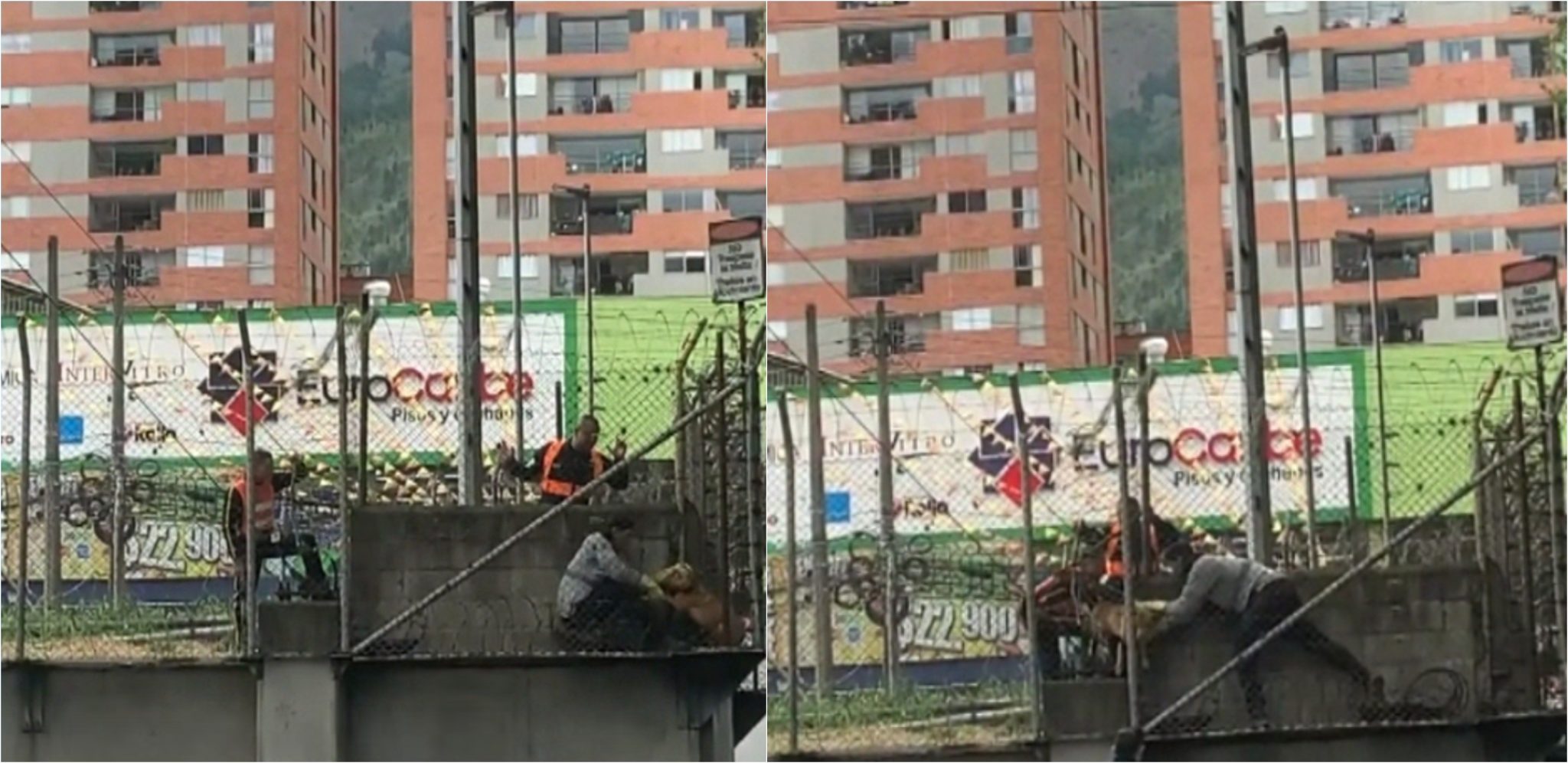 Perrito fue rescatado mientras deambulaba por las vías del Metro de Medellín