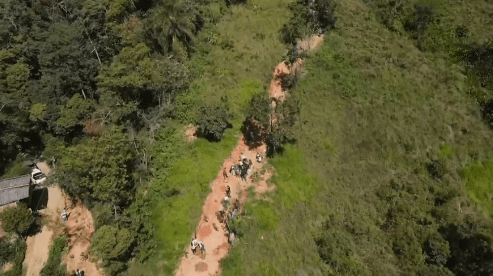 Piden respetar la fauna silvestre y ecosistemas en las vacaciones