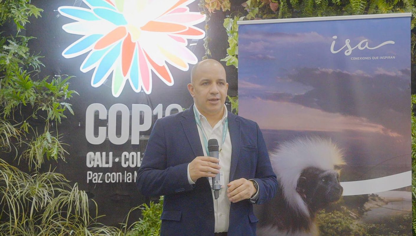 Consejo de Estado admitió demanda contra elección de Jorge Carrillo en ISA