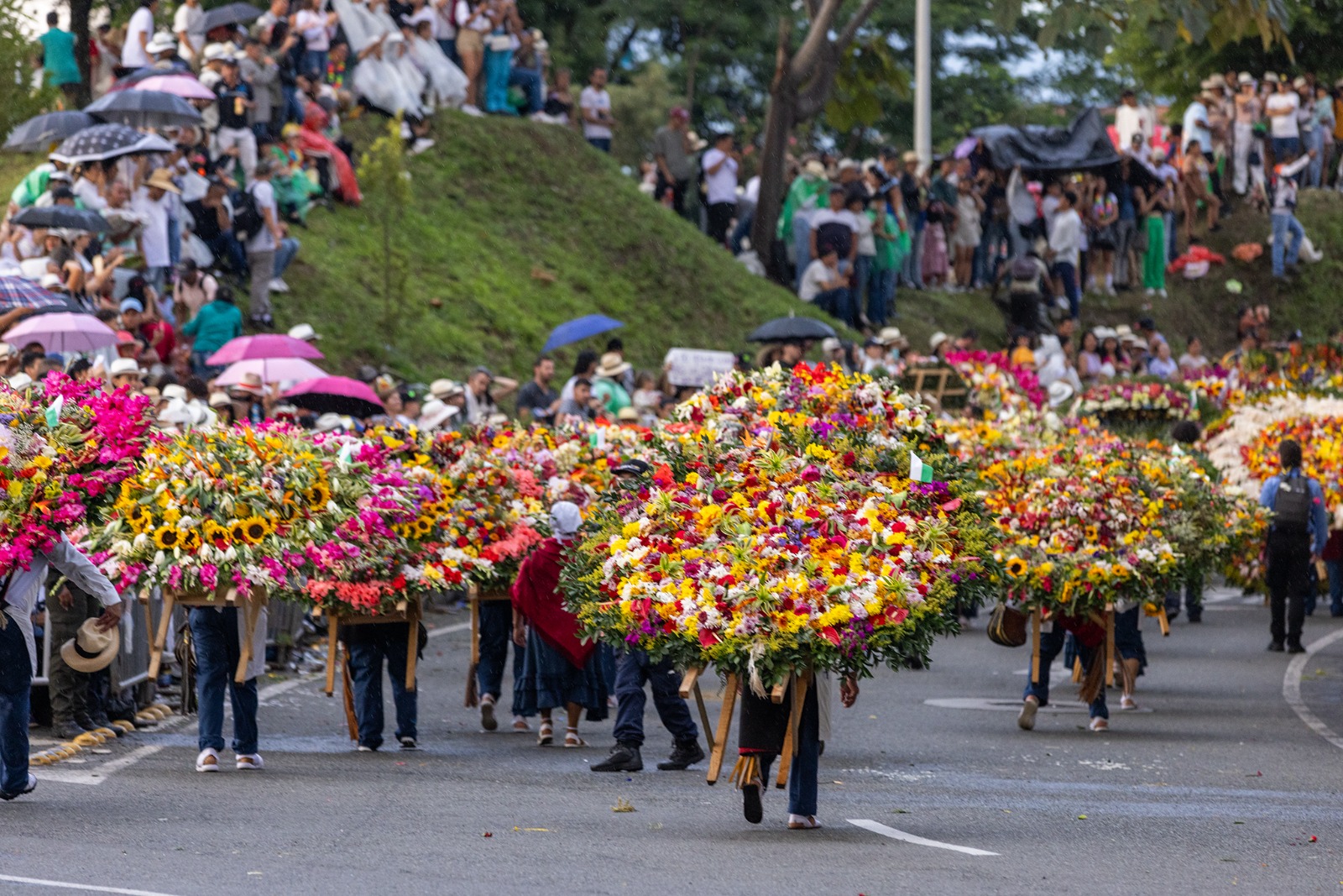 A este número puede llamar para inscribirse y ver gratis los diferentes desfiles de la Feria de las Flores 2025