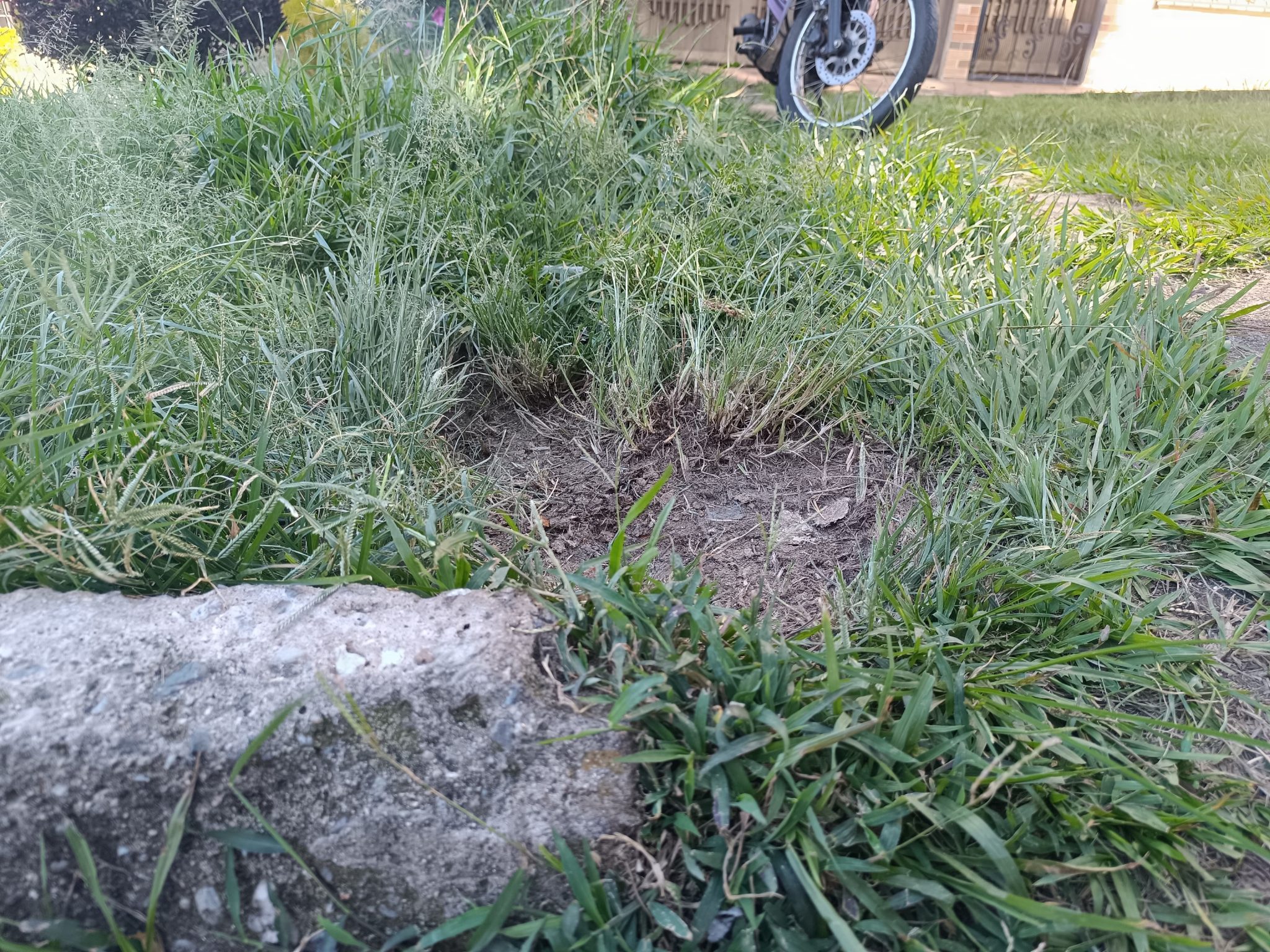 Hombre perdió los dedos de su pie tras pisar pólvora abandonada en el barrio Córdoba