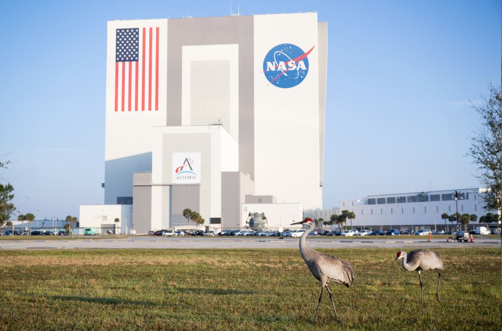[Galería] Estas fueron las mejores fotos de la Nasa en el último año