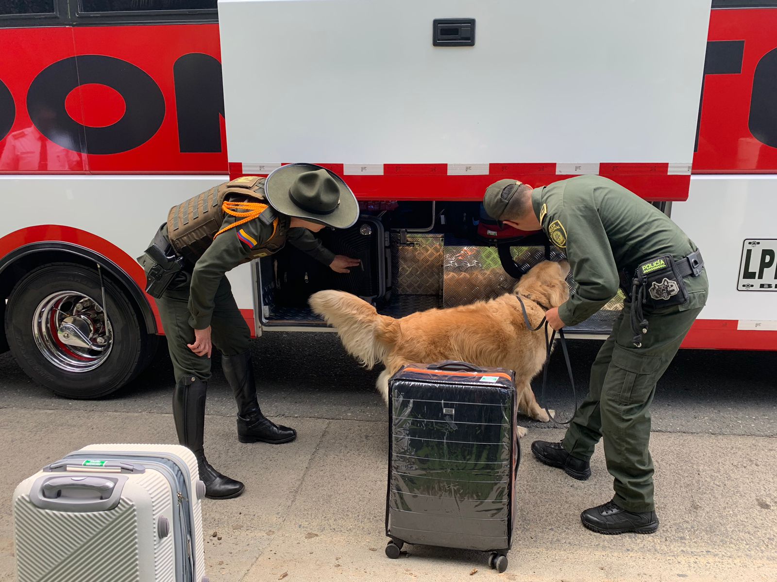 Al interior de un bus, Policía de Carabineros halló 400 dosis de cocaína