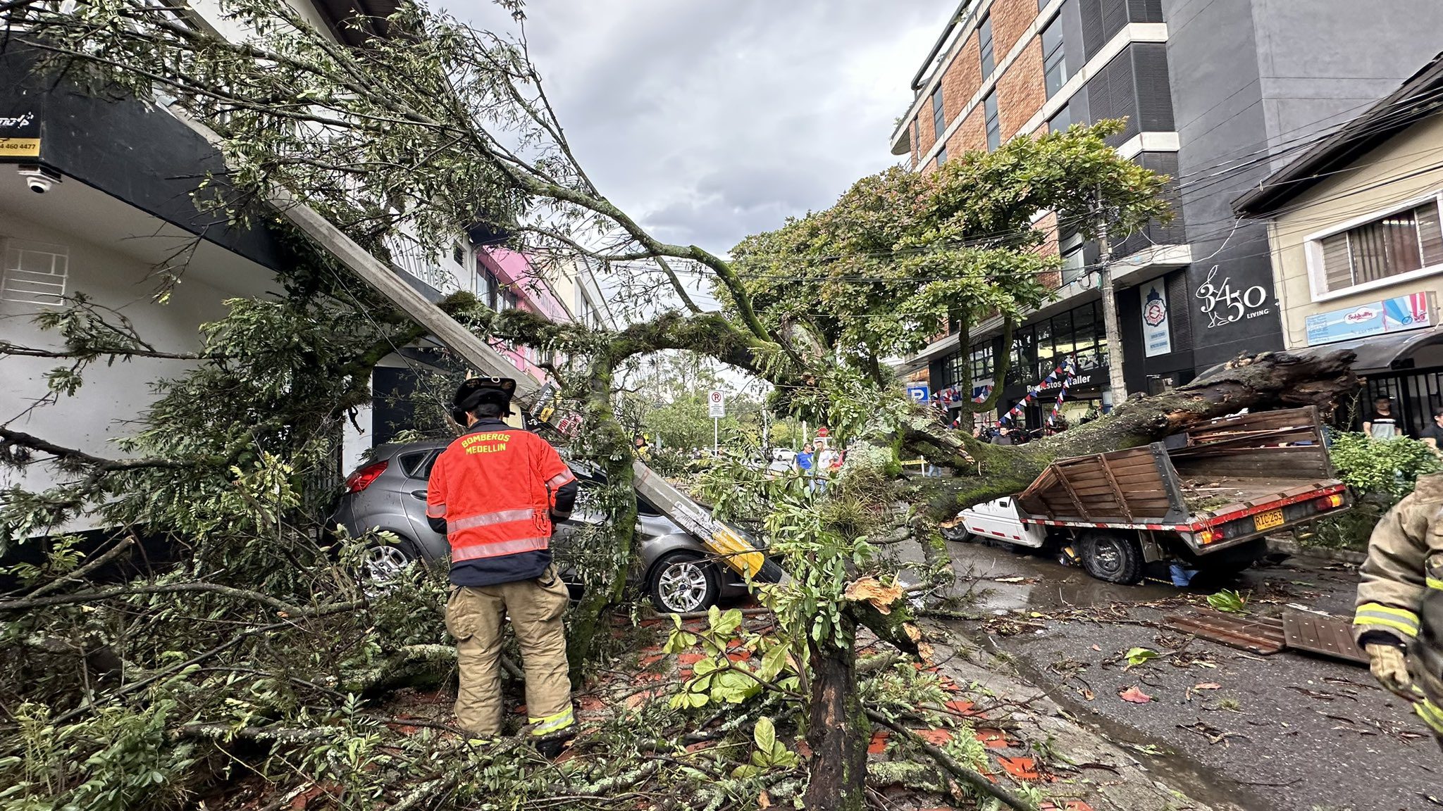 Árbol cayó sobre dos vehículos y una motocicleta en Laureles
