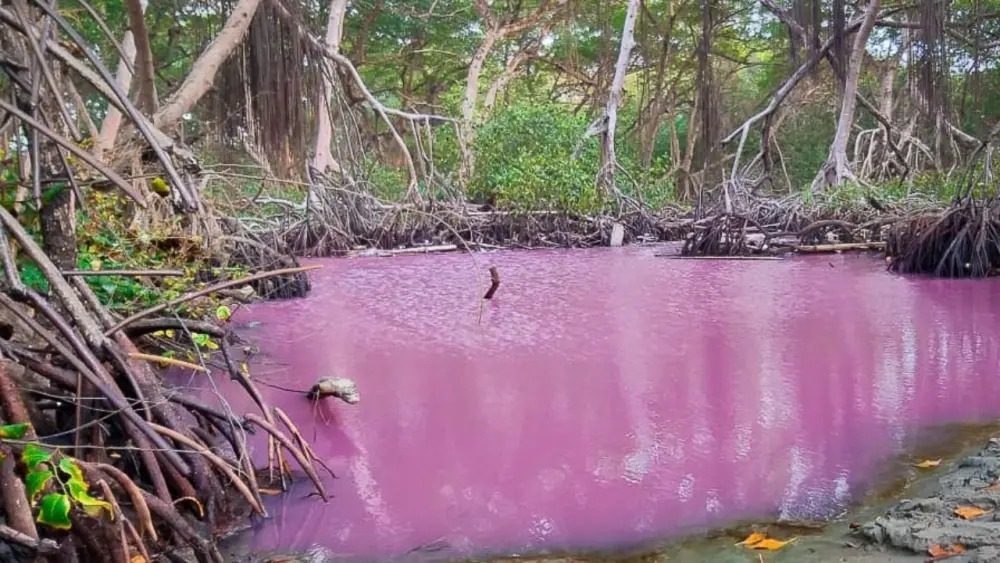 Así puede llegar y visitar el 'río rosado' que queda en un municipio de Antioquia