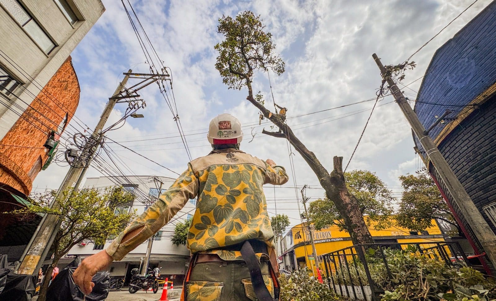 Avanza la intervención de árboles en riesgo para evitar emergencias en Medellín