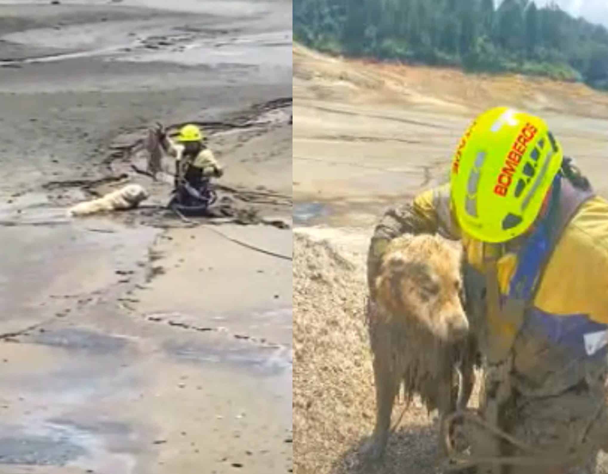 Cuerpo de Bomberos de Guatapé rescató a 