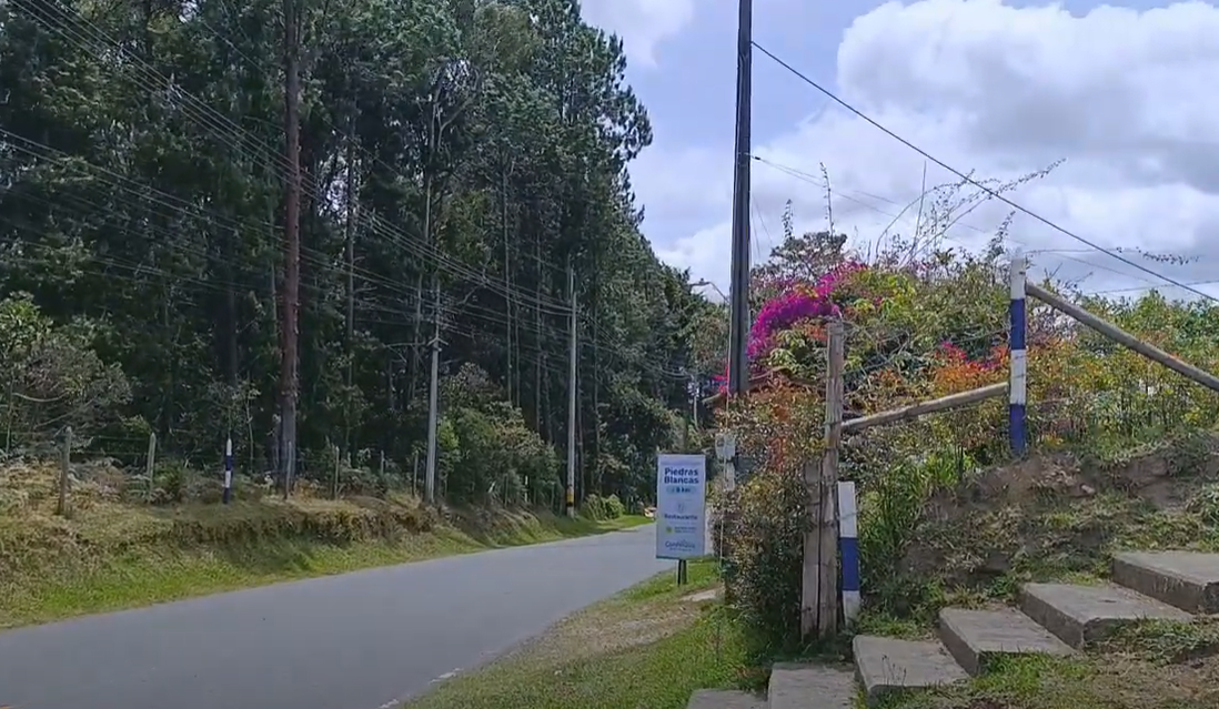 Caminando Medellín, un recorrido experiencial por la Feria de las Flores 