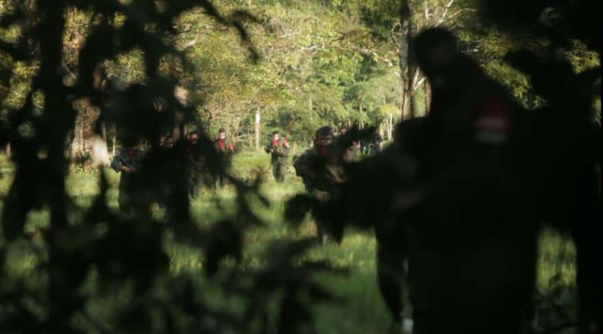 Campo minado en Valdivia dejó cinco militares heridos y un canino antiexplosivos muerto