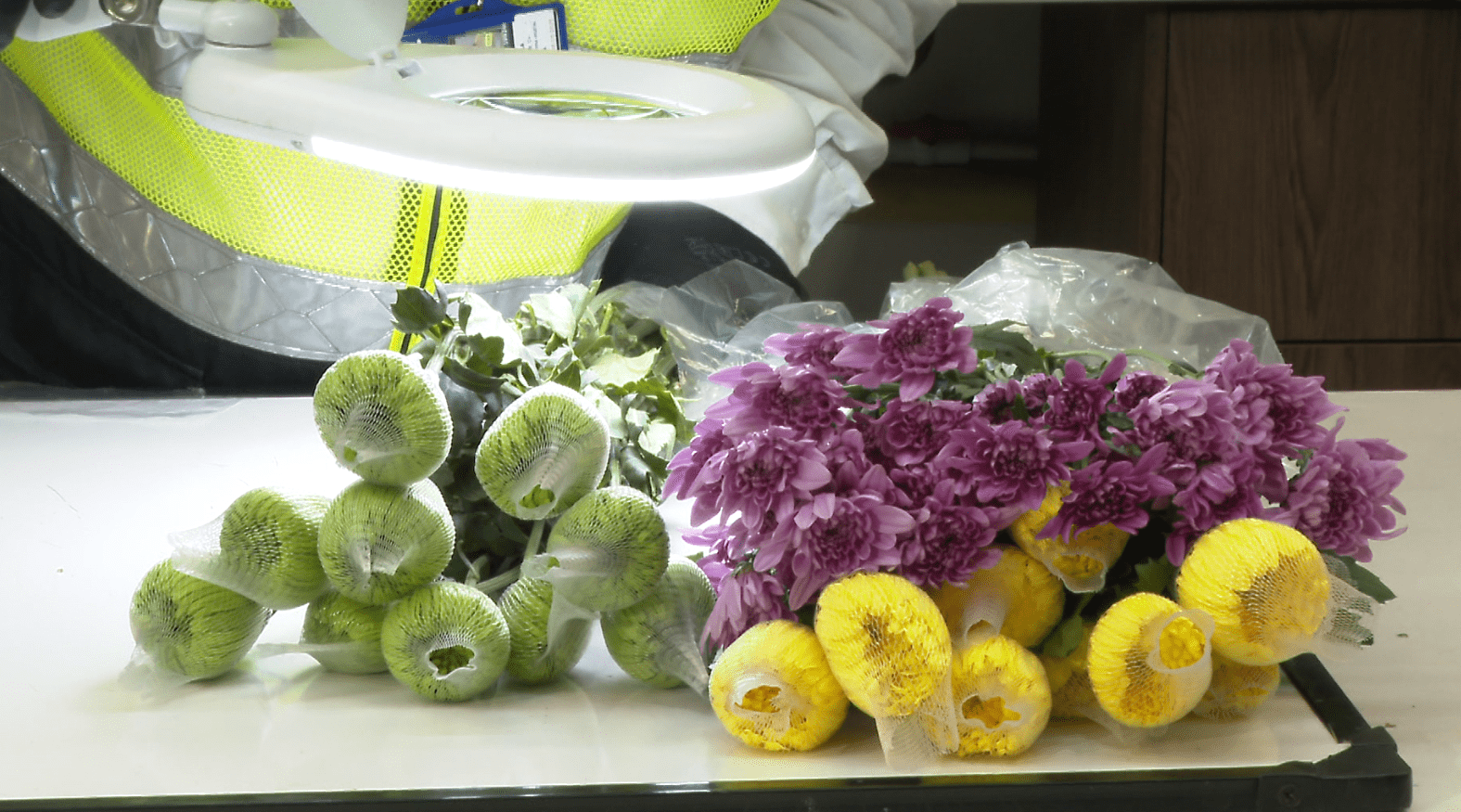 Más de 700 millones de flores colombianas llegarán a diferentes países para celebrar el Día de la Madre