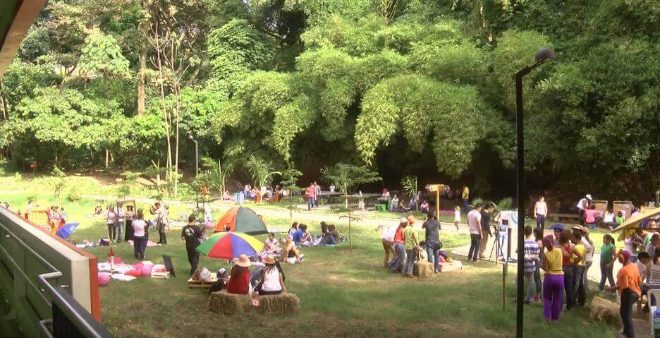 actividades canal parque Picnic al parque
