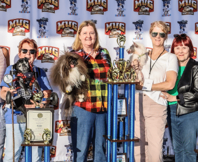 El 'perro más feo del mundo' ganó su título por esta grave condición