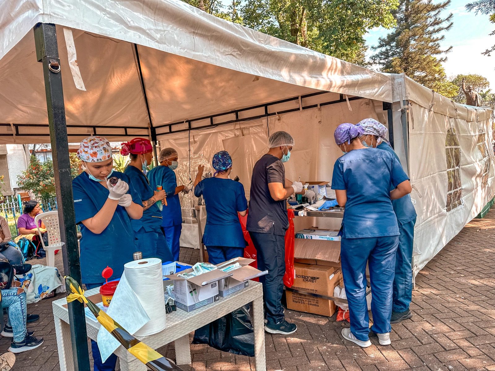 Comenzaron las jornadas gratuitas de esterilización de perros y gatos vea cómo acceder