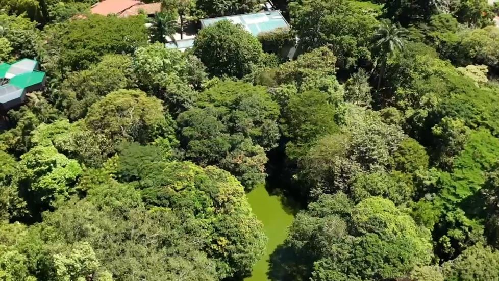 Construyen barrera de 67 metros para proteger humedal del Jardín Botánico