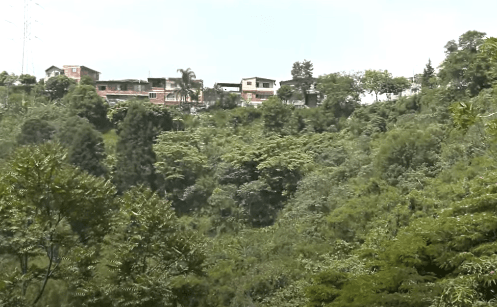 Denuncian loteo e invasiones ilegales en tres predios en la comuna 13
