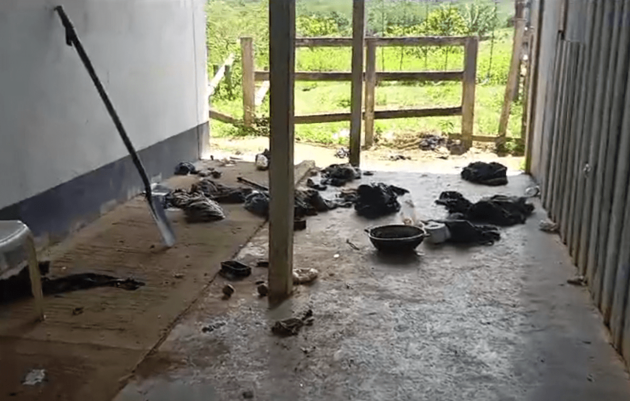 En Remedios estarían usando escuelas para atender heridos de enfrentamientos entre ilegales