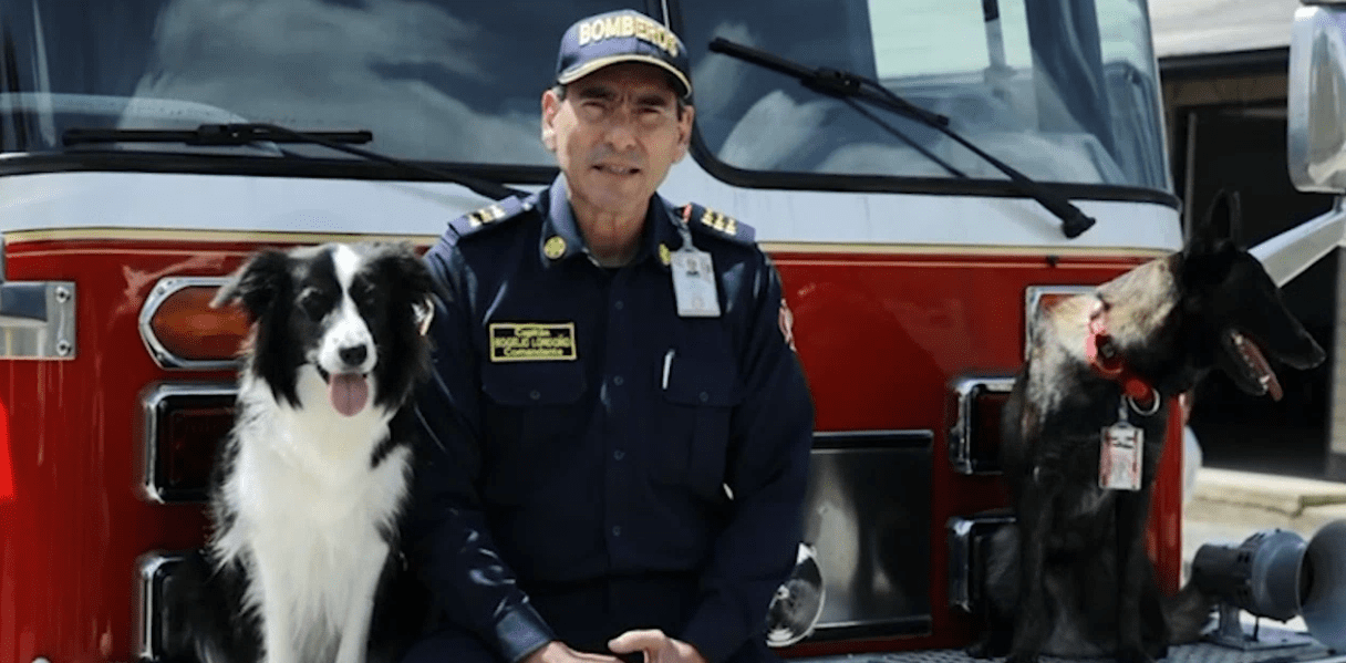 En el Día Mundial del Perro, estos son los caninos que ayudan en los Bomberos del Valle de Aburrá