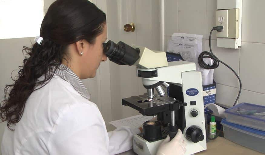 En la Universidad de Antioquia encuentran pistas de una variante para evitar la tuberculosis