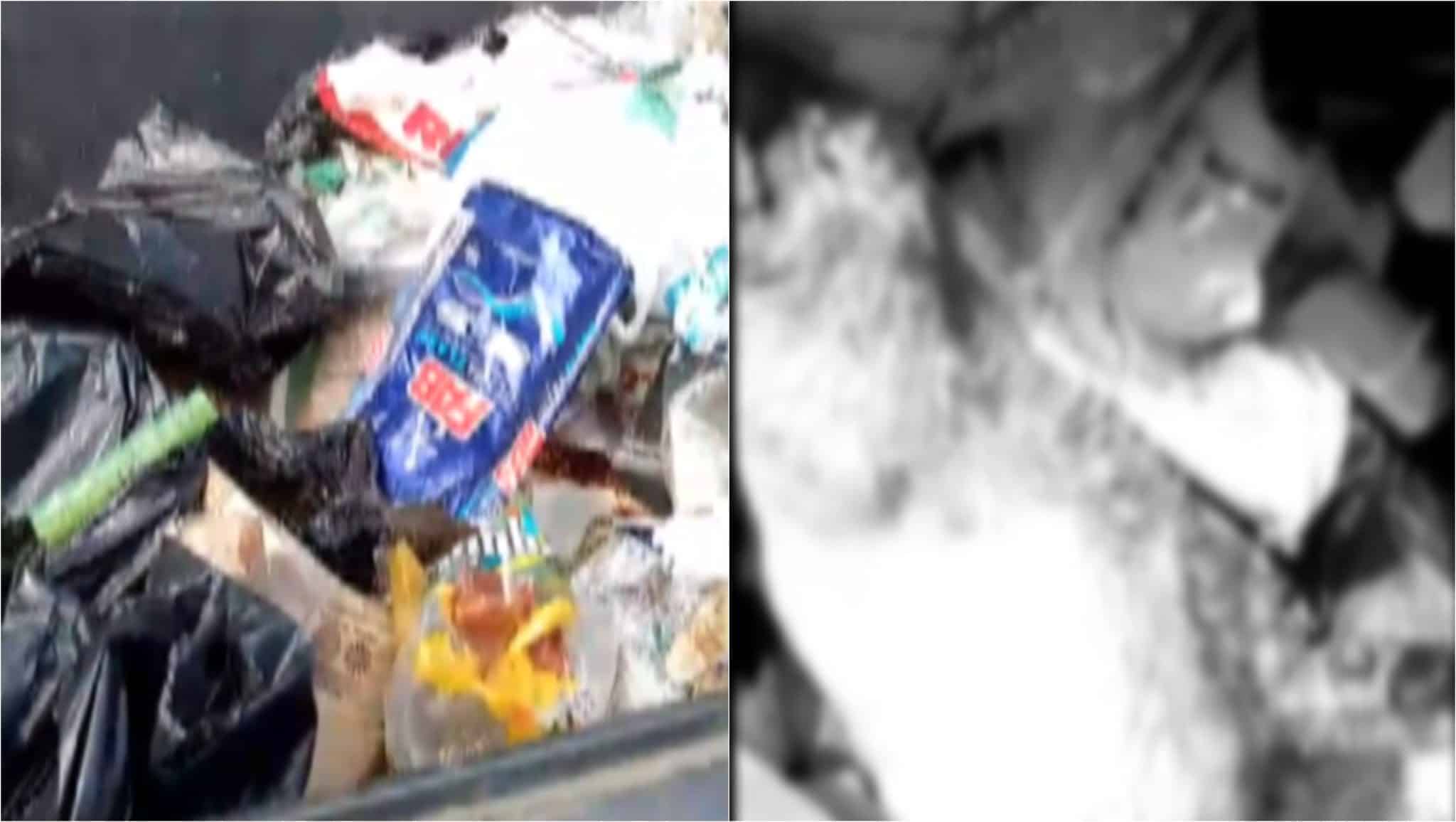 Encuentran animales decapitados en Santa Elena