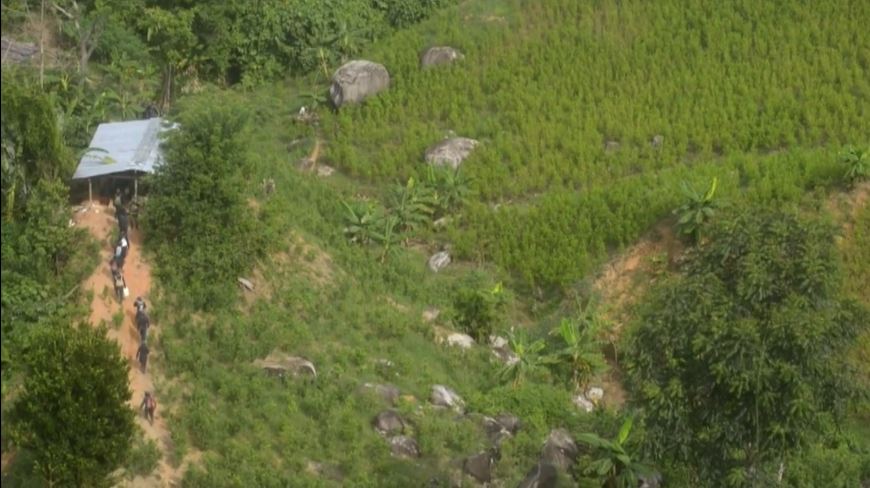 Estas son algunas de las rutas del narcotráfico más utilizadas en Antioquia