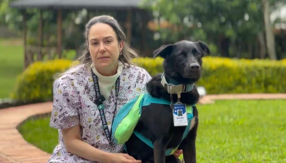 Este es el perrito que llegó al hospital de La Ceja para dar apoyo emocional a los pacientes