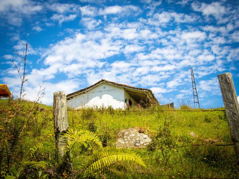 Este es el programa incluido en el Plan de Desarrollo que le apuesta a la ruralidad en Medellín