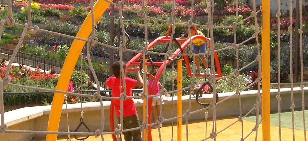 Estos son los programas que garantizan el bienestar, protección y desarrollo de los niños en la ciudad