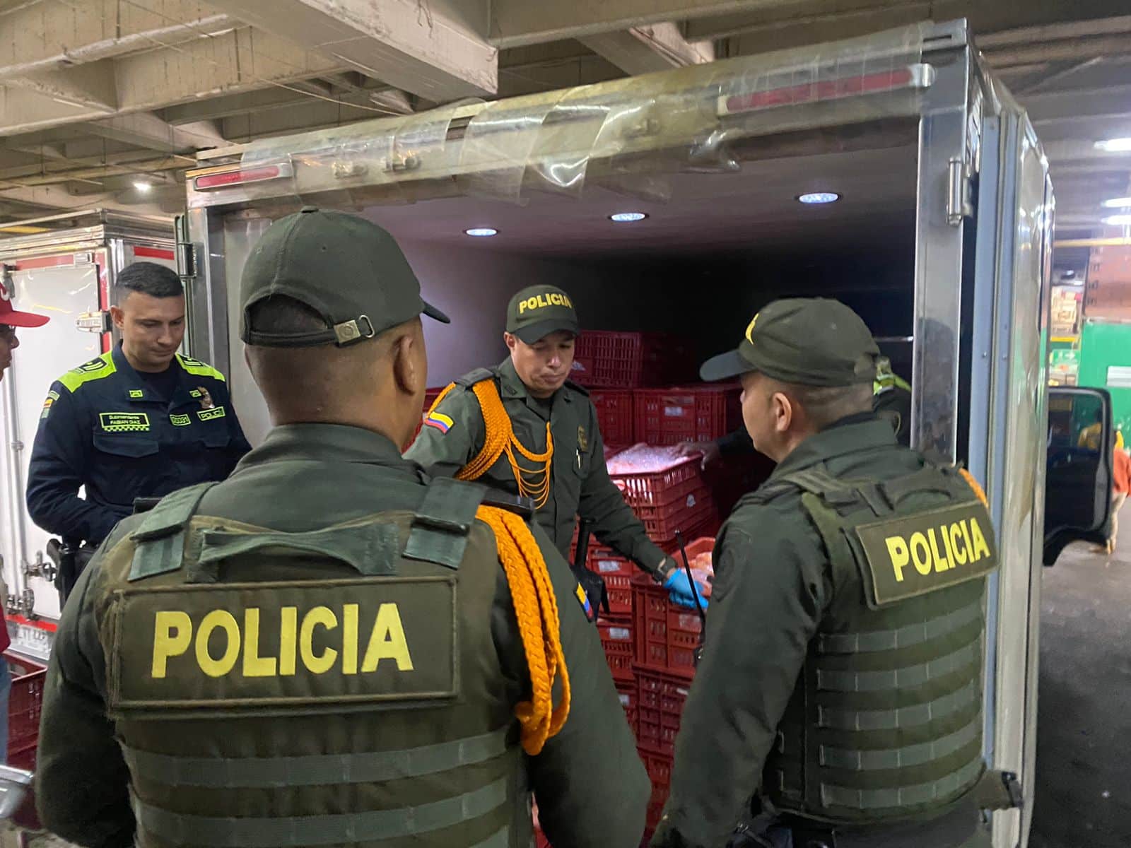 Incautan siete toneladas de pescado por falta de documentación