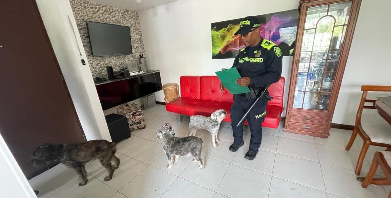 La Perla rescató a 3 perros que eran maltratados en un apartamento en Belén
