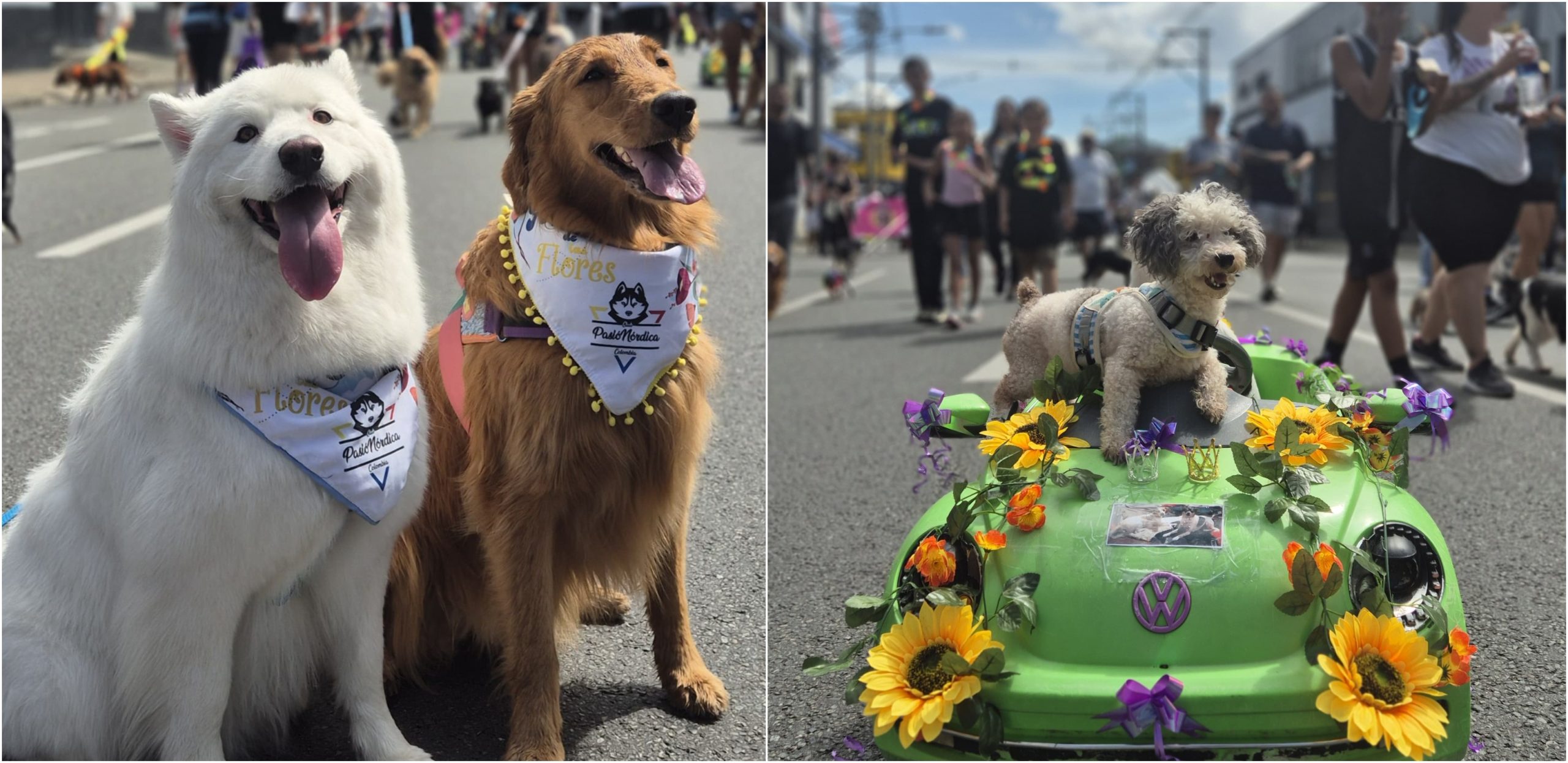 Las mascotas también disfrutan de la Feria de las Flores con su tradicional caminata
