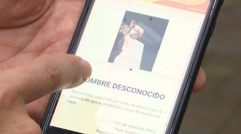 Paisas crean aplicación de celulares para encontrar mascotas perdidas