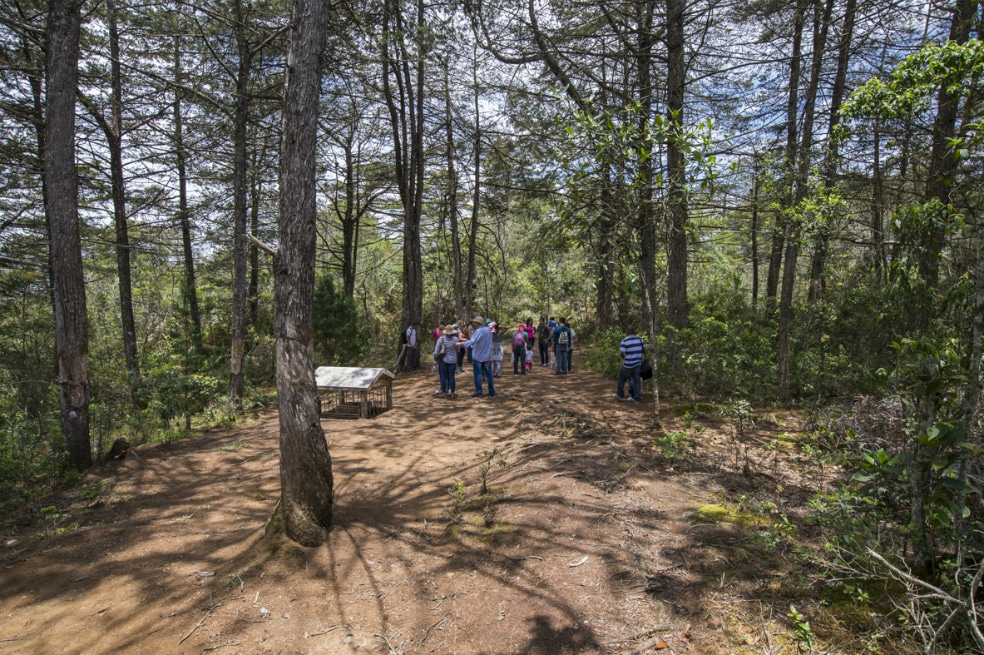 Parque Arví