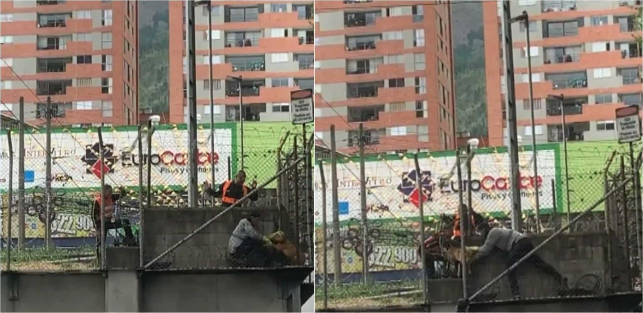 Perrito fue rescatado mientras deambulaba por las vías del Metro de Medellín