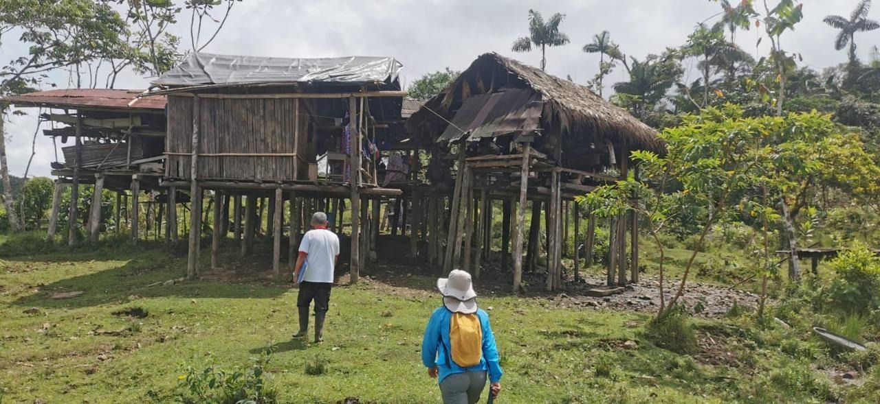 Preocupan los más de 4 mil casos de malaria en Antioquia durante el 2024