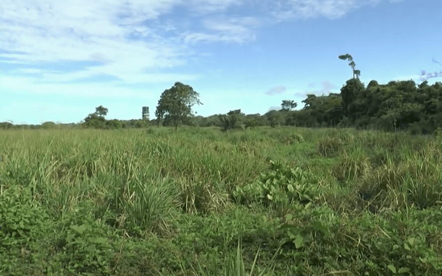 Reclamantes de tierras dicen que restitución no avanza
