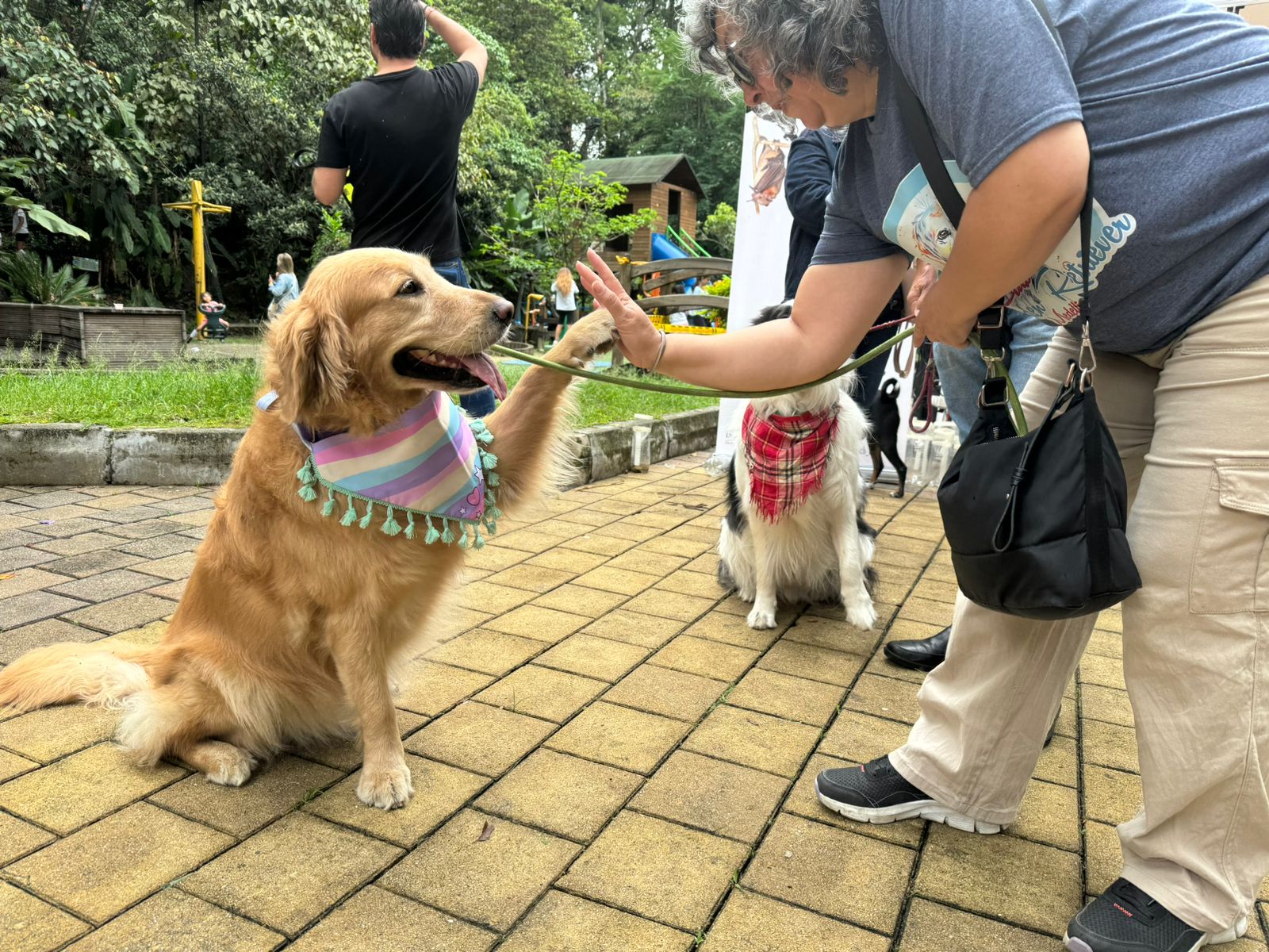 Edición Mascotas al Parque en la sede de Telemedellín